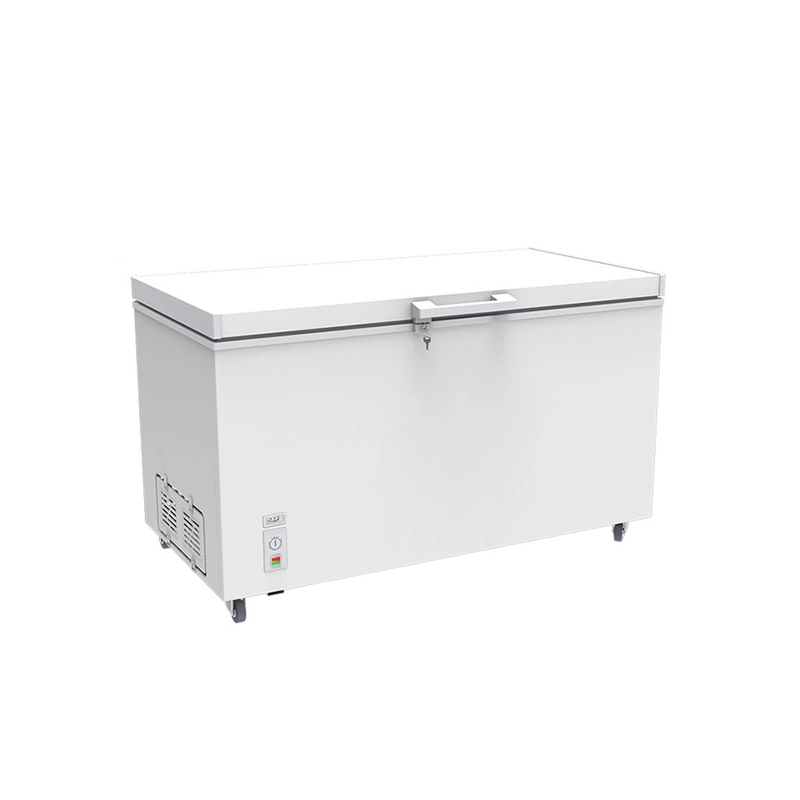 China Manufacturer Wholesale Price Ice Cream Freezer Price Meat Showcase Deep Freezer Foam Door Chest Freezer with Lock (BDBC-310)