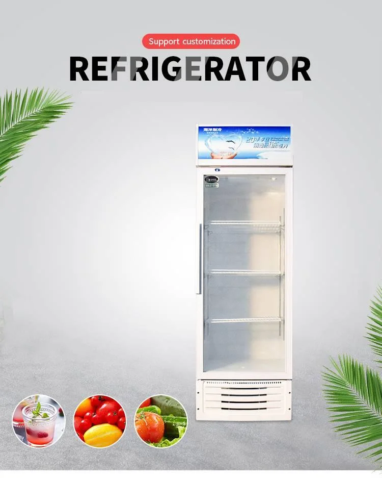 High Performance Upright Glass Door Cooler Glass Door Beverage Cooler Commercial Display Fridge