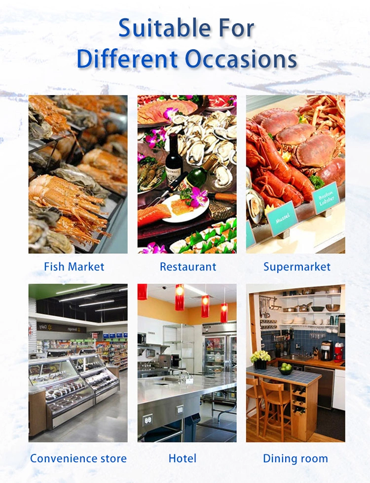 Manufacturer Commercial Supermarket Butchery Shop Meat Deli Refrigeration Equipment Display Freezer