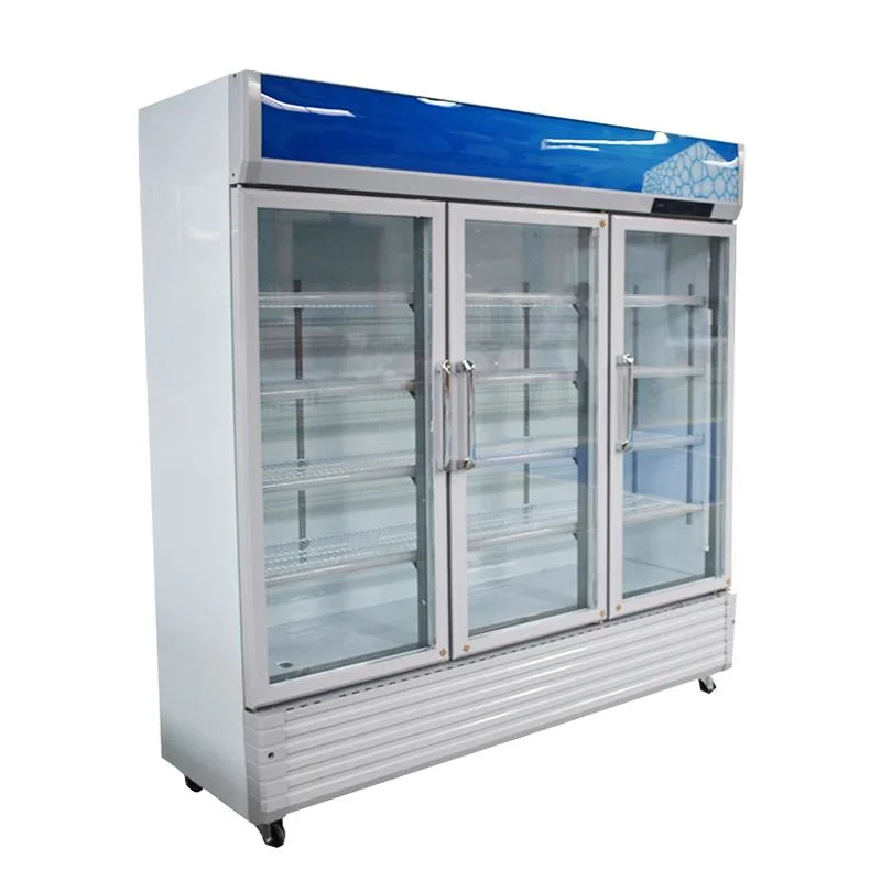 Custom Upright Glass Door Freezer Beverage Display Showcase Fridge