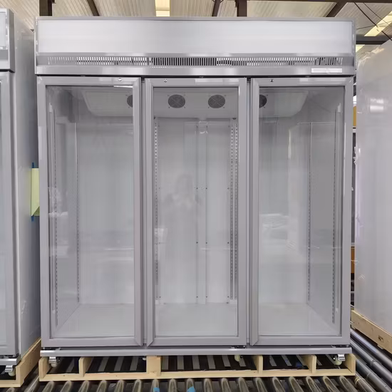 Frigorifero commerciale con display per supermercato, frigorifero per bevande con porta in vetro singola da 265 litri